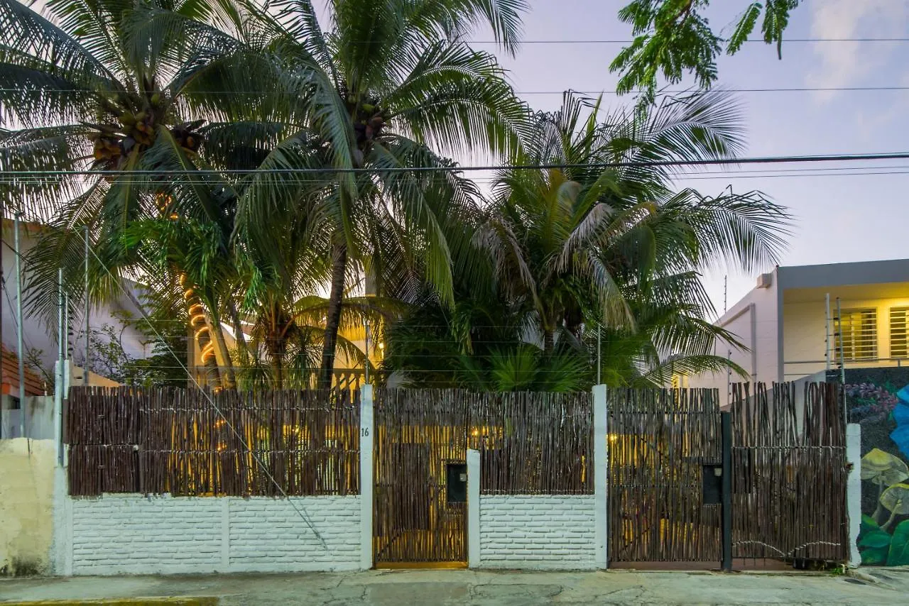 Гостевой дом Отель Casa Tropical Канкун