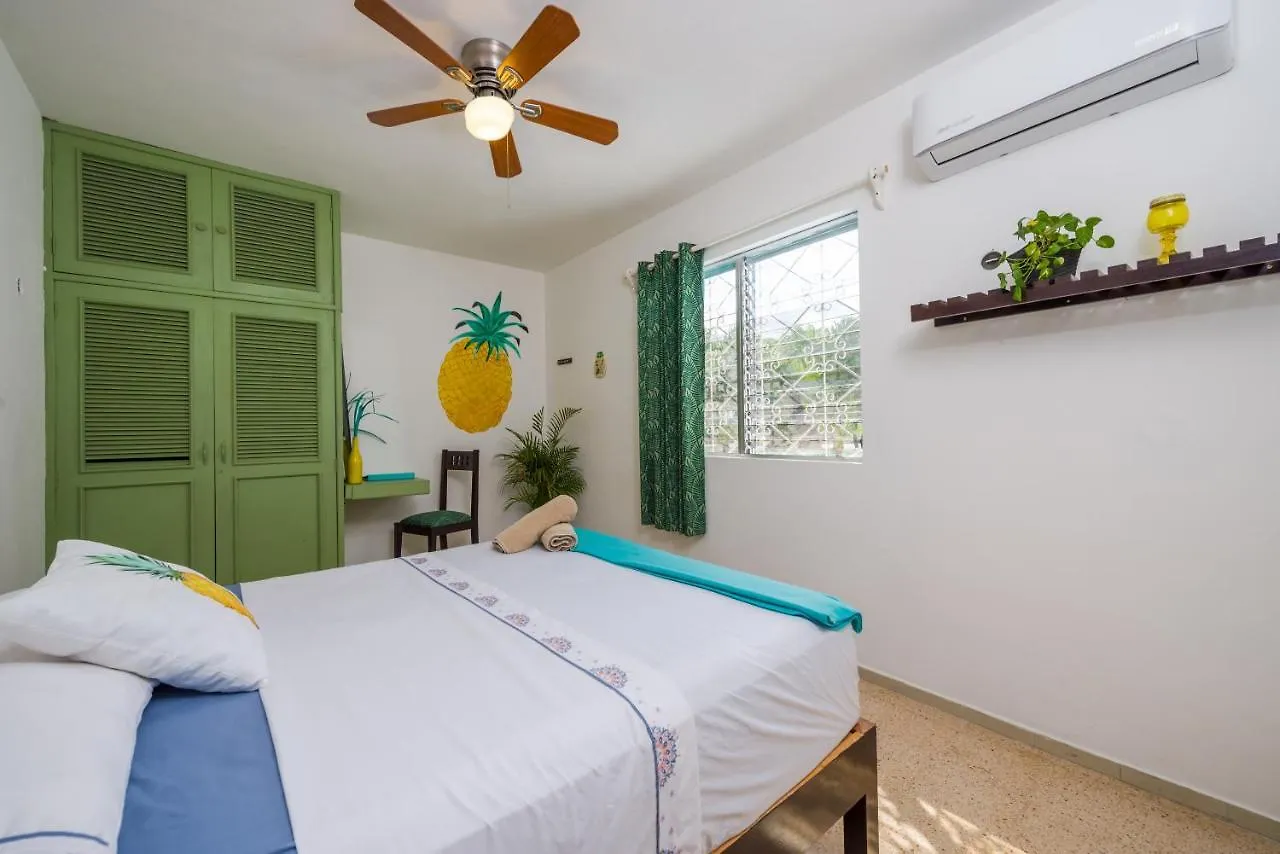 Gæstehus Casa Tropical Hotel Cancún Mexico