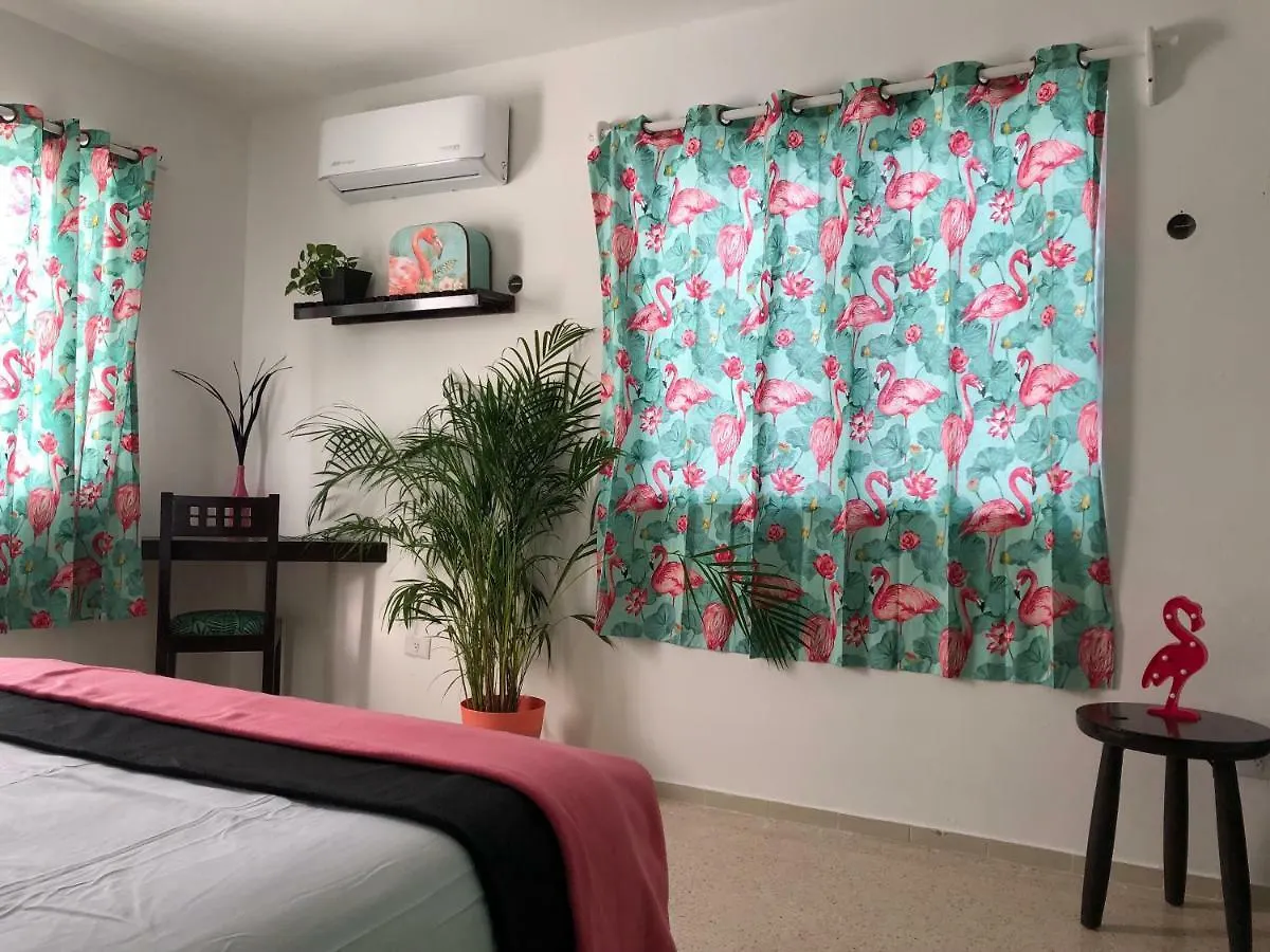 Casa Tropical Hotel Cancun
