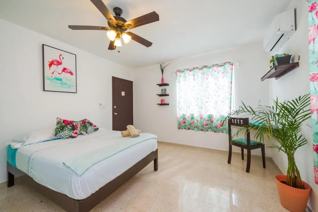 Guest house Casa Tropical Hotel Cancun