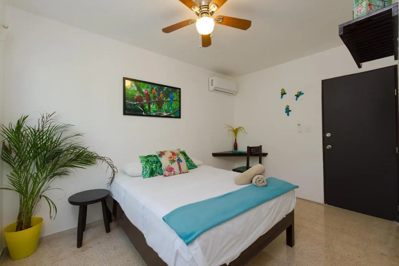 Guest house Casa Tropical Hotel Cancun