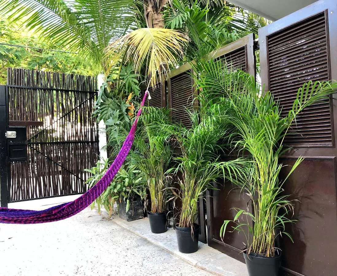 Casa Tropical Hotel Cancun Guest house