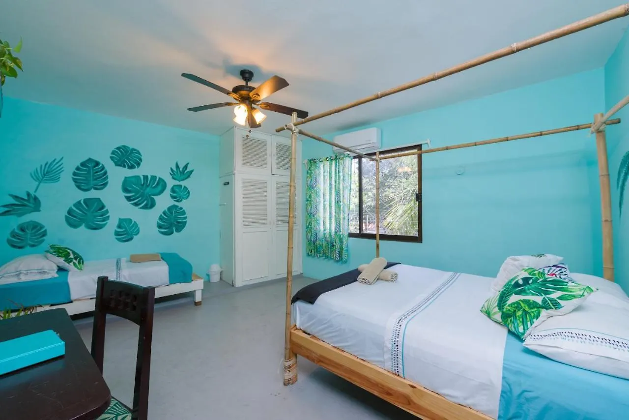 Guest house Casa Tropical Hotel Cancun
