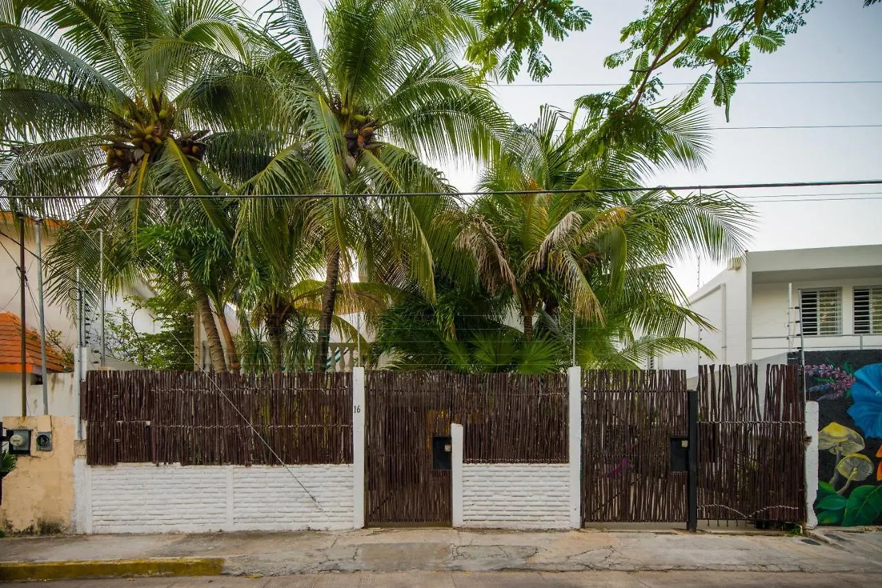 Guest house Casa Tropical Hotel Cancun Mexico
